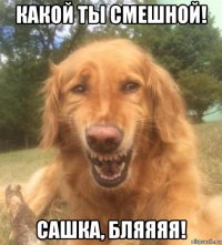 какой ты смешной! сашка, бляяяя!