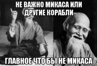 не важно микаса или другие корабли главное что бы не микаса