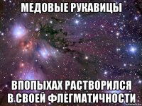 медовые рукавицы впопыхах растворился в своей флегматичности