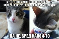 а что, если у меня появится парень, который не будет помехой учёбе в меде? да не, бред какой-то