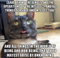 leave behind the senses and the operations of the intellect, and all things sensible and intellectual, and all things in the world of being and non-being, that thou mayest arise by unknowing