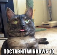  поставил windows 10