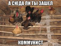 а сюда ли ты зашел коммунист
