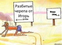 Разбитые черепа от Игорь