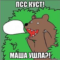 псс куст! маша ушла?!