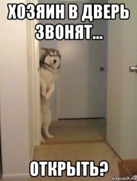 хозяин в дверь звонят... открыть?