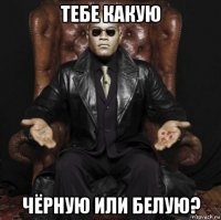 тебе какую чёрную или белую?