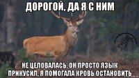 дорогой, да я с ним не целовалась, он просто язык прикусил, я помогала кровь остановить