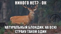 никого нет? - ок натуральный блондин, на всю страну такой один