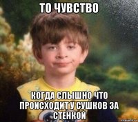 то чувство когда слышно что происходит у сушков за стенкой