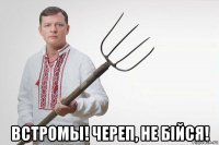  встромы! череп, не бiйся!