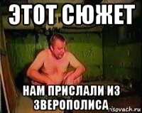 этот сюжет нам прислали из зверополиса