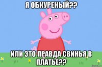 я обкуреный?? или это правда свинья в платье??