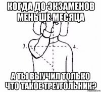 когда до экзаменов меньше месяца а ты выучил только что такое треугольник?