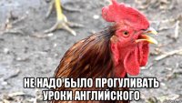  не надо было прогуливать уроки английского