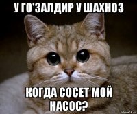 у го'залдир у шахноз когда сосет мой насос?