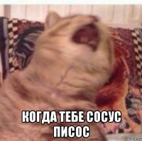  когда тебе сосус писос