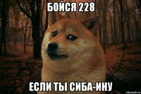 бойся 228 если ты сиба-ину