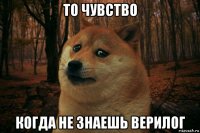 то чувство когда не знаешь верилог