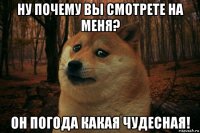 ну почему вы смотрете на меня? он погода какая чудесная!