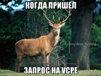 когда пришел запрос на vcpe