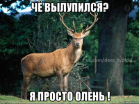 чё вылупился? я просто олень !