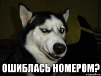 ошиблась номером?