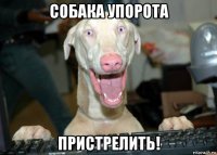 собака упорота пристрелить!