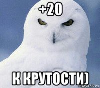 +20 к крутости)