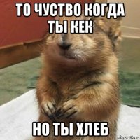 то чуство когда ты кек но ты хлеб