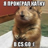 я проиграл катку в cs:go :(