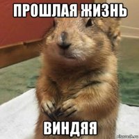 прошлая жизнь виндяя