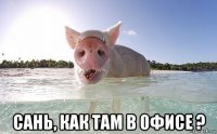  сань, как там в офисе ?