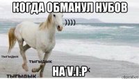 когда обманул нубов на v.i.p