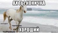 ах ты коничка хороший