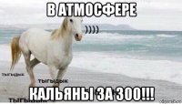 в атмосфере кальяны за 300!!!