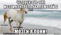 человек:тук-тук! мозги,контрольная,помогайте мозги:я пони!