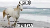 четко желтуха