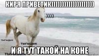 киря приветик)))))))))))))))))))) и я тут такой на коне