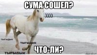 сума сошел? что-ли?