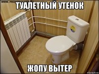 туалетный утенок жопу вытер