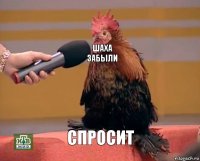 шаха забыли спросит