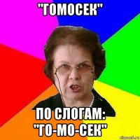 "гомосек" по слогам: "го-мо-сек"