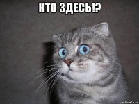 кто здесь!? 