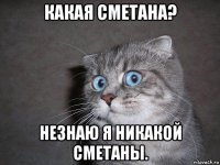 какая сметана? незнаю я никакой сметаны.