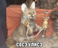  сосэ у лисэ