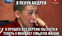 я пекун андрей я прошёл все версии fallouta и теперь у меня нет смысла жизни