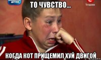 то чувство... когда кот прищемил хуй двигой