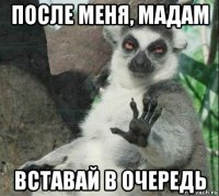 после меня, мадам вставай в очередь