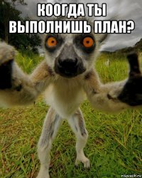 коогда ты выполнишь план? 